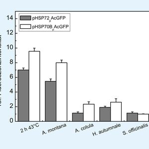 (Bild: Ernst-Abbe-Hochschule Jena)