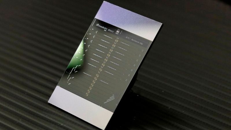 Photonischer Biosensor-Chip des Fraunhofer IPMS: Die Miniaturisierung basiert auf der Siliziumnitrid-Wellenleiterplattform des Instituts, die auch für Photonic Computing und Quantentechnologien als Grundlage dient.(Bild:  Fraunhofer IPMS)