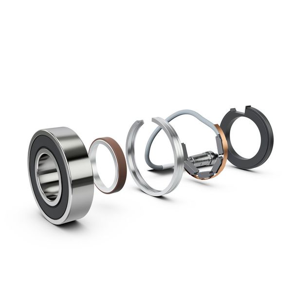  (Schaeffler)