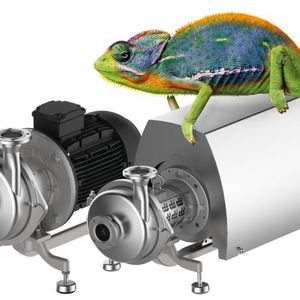 Vielseitig und anpassungsfähig: Die neuen Hygienepumpen GEA Hilge Hygia zeichnen sich durch ein hohes Maß an Flexibilität aus (im Bild links die Ausführung Hygia K sowie rechts Hygia Adapta-
Super mit Edelstahlmotorhaube).