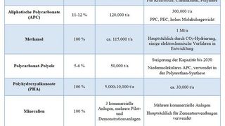 CO2-basierte Produkte: Produktionskapazitäten 2022 und Aussichten für 2030  (Bild: Nova-Institut)