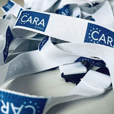Die Car Remarketing Association Europe (CARA) besteht seit 2015. Sie hat zum Ziel, den europäischen Gebrauchtwagenmarkt zu fördern und zu standardisieren. (Bild: Cara)