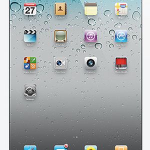 (Apple)