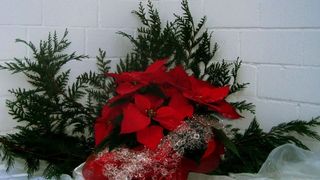 Die bevorstehenden Weihnachtsfeieren und Neujahrsemfänge verlangen nach einer guten Ansprache Bild: pixelio_Legolas84 (Archiv: Vogel Business Media)