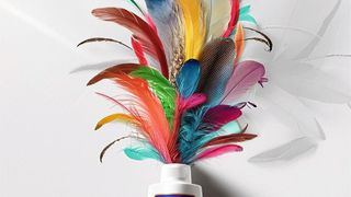 Aus Hühnerfedern Klebstoff machen? Fraunhofer-Forscher nutzen Schlachtereiabfälle zur Herstellung einer Plattformchemikalie (Symbolbild). (Bild: KI-generiert mit ideogram.ai)