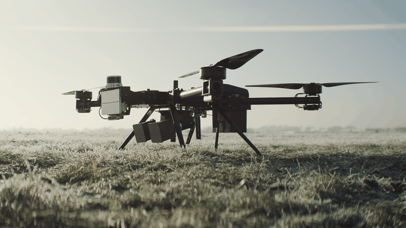 (Picture:  Argus Interception)