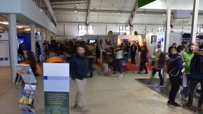  (Bild: © pattilabelle/stock.adobe.com)