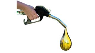  1  Biogene Materialien werden 
immmer häufiger als Ausgangsstoffe 
für die Herstellung von Kraftstoffen und Energieträgern eingesetzt. Bild: Archiv (Archiv: Vogel Business Media)