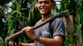 Aufforstung: Die Berliner Suchmaschine Ecosia verwendet 80 % der Einnahmen aus Suchanzeigen zur Finanzierung gemeinnütziger Organisationen, die sich auf Aufforstungsprogramme konzentrieren. (Ecosia/Shane Thomas McMillan)