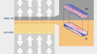 Die LFO-Schicht weist normalerweise eine antiferromagnetische Ordnung auf (AFM) und besitzt keine ferromagnetischen Domänen. Doch die ferromagnetischen Domänen (weiße Pfeile) der LSMO-Schichten bewirken, dass an den Grenzflächen in der LFO-Schicht ferromagnetische Domänen ausbilden, die antiparallel zu den angrenzenden Domänen der LSMO-Schicht ausgerichtet sind. (Bild: HZB)
