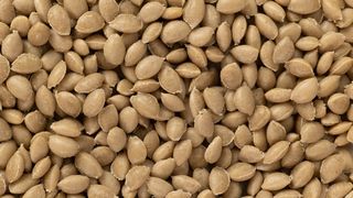 Mit Silva Therm wurde ein Bio-Compound entwickelt, welches mehrere Vorteile vereint: eine überzeugende CO₂-Bilanz und zugleich die technische Leistungsfähigkeit, die für industrielle Anwendungen entscheidend ist. (Bild: Biofibre)