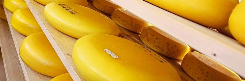 Käserei kombiniert Handwerkskunst und Automatisierungstechnik – und macht damit die Käseherstellung transparent, sicher und lecker.(Bild:  FP Inovolabs)