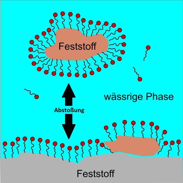 Tenside Der wichtigste Bestandteil jedes Reinigungsmittels sind Tenside. Deren Moleküle zeichnen sich durch eine lange hydrophobe Kohlenwasserstoffkette aus, an deren Ende eine hydrophile, also wasserliebende Gruppe sitzt. Die lange Kohlenstoffkette dringt in ölige Phasen wie Fetttröpfchen ein, wobei die hydrohilen „Köpfchen“ der Tenside in die wässrige Umgebung hinausragen. So verkapseln Tenside beispielsweise Fettflecken aus der Wäsche in winzigen Tröpfchen, die sich im Waschwasser lösen und fortgeschwemmt werden. Weil Tenside auch die Oberflächenspannung des Wassers herabsetzen, erleichtern sie zudem das Benetzen der Fasern in der Wäsche. Es gibt vier Arten von Tensiden Anionische Tenside sind die am meisten eingesetzten Tenside in heutigen Waschmitteln. Ihre Endgruppe ist negativ geladen (z. B. Carboxylate, Sulfonate oder Sulfate). Natürliche Seifen (Natrium- und Kaliumsalze von Fettsäuren) gehören zu den anionischen Tensiden.  Kationische Tenside mit positiv geladener Endgruppe sind eher in Weichspülern zu finden, da sie der Wäsche Geschmeidigkeit verleihen. Ihre Waschwirkung ist im neutralen oder basischen Milieu der gängigen Waschmittel geringer als die von reinem Wasser.  Amphotere Tenside weisen kationische und anionische Molekülgruppen gemeinsam auf. Nichtionische Tenside sind vorwiegend für synthetische Fasern und bei niedrigen Waschtemperaturen wichtig für die Reinigungswirkung. Sie mindern zudem Verfärbungs- und Vergrauungseffekte beim Waschen von Kunstfasern.   Mehr zum Thema Tenside bietet der Artikel: Wie Bakterien beim Wäschewaschen helfen.   (Wikipedia/Roland.chem)