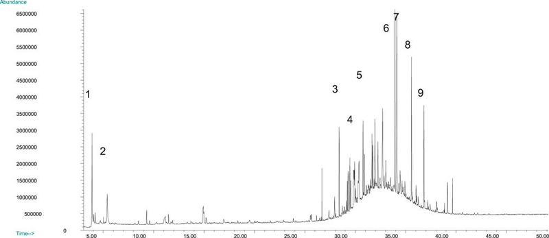 Abb.3: Gaschromatogramm, erstellt nach direkter thermischer Extraktion eines Stücks Recyclingpapier: 1 = Essigsäure, 2 = Hexanal, 3 = Isopropyllaurat, 4 = Di Isopropylnaphthalin,
5 = Octadecan, 6 = Octadecen, 7 = Methyloleat, 8 = Eicosen, 9 = Docosen. (Archiv: Vogel Business Media)