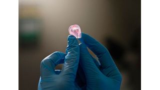 Das ist kein Gummibärchen sondern eins der an der EPFL per additiver Fertigung hergestelltes Objekt aus DNGE-Material. Es enthalt relativ steife Elastomerpartikel, eingebettet in eine weicher Matrix aus Elastomermaterial. Um durch mechanische Belastungen zu ermüden, braucht es dreimal so lange als andere Elastomere. (Bild: Titouan Veuillet)