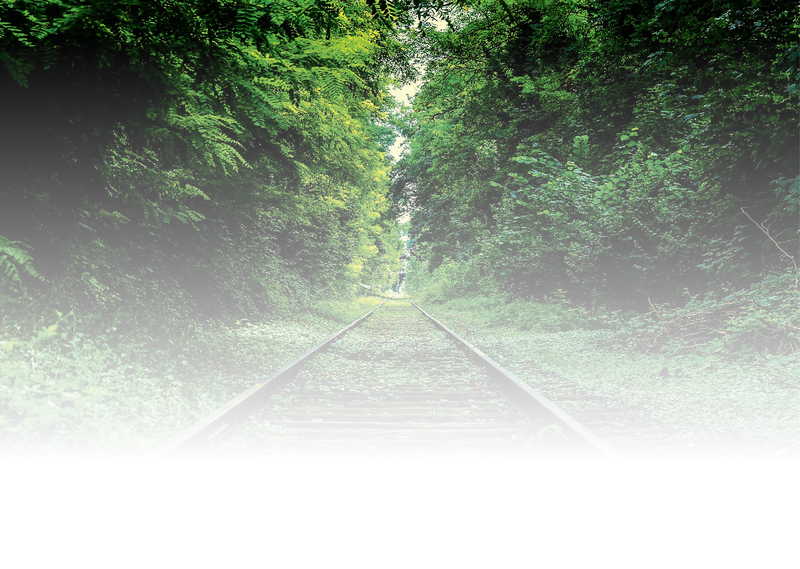 (Quelle:  supriyantos riyantos/EyeEm – stock.adobe.com)