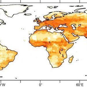 Annually, 4.55 million people lose their lives due to ambient air pollution. The graphic shows the mortality rate in individual per area of 1,000 square kilometers and year.