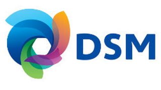 DSM has big plans for polymers in the US (Logo: DSM)