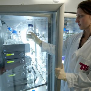 Im Biokatalyselabor der TU Berlin beschreiten die Mitarbeiter/innen von Prof. Budisa durch geschickte Umprogrammierung der Proteinsynthese neue Wege in der Ganzzellkatalyse. (TU Berlin)