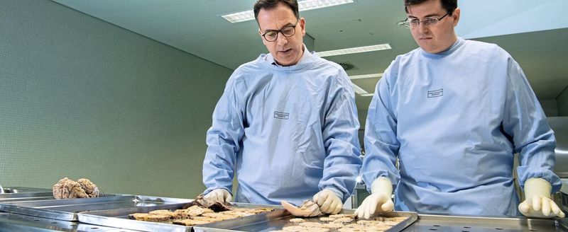 Prof. Dr. Marco Prinz (l.) und Dr. Marius Schwabenland (r.) obdzuieren Gehirne von Covid-19-Genesenen, die zu einem späteren Zeitpunkt an einer anderen Ursache verstorben waren. (Bild:  Deutsche Forschungsgemeinschaft)
