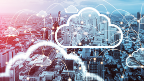 Dell WB header (Canva)