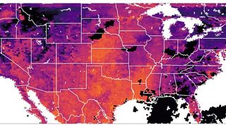Dichte von Fluginsekten an einem typischen Sommertag (25. August 2021). Die Farben zeigen die Anzahl Insekten pro Quadratmeter vertikalen Luftraum an, hellere Farben zeigen höhere Dichten. Regen ist schwarz dargestellt. (Bild: The Author(s), Global Change Biology published by John Wiley & Sons Ltd)