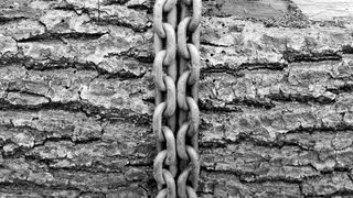 Zum Jahreswechsel tritt das Lieferkettensorgfaltspflichtengesetz für Unternehmen mit mehr als 3.000 Beschäftigten in Kraft.  (Bild: gemeinfrei)