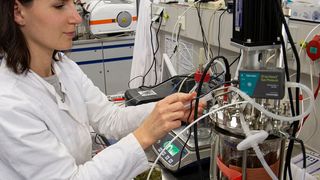 FH-Doktorandin Berit Rothkranz arbeitet am Fermenter im Labor für Bioverfahrenstechnik und Downstream Processing. (FH Aachen / Arnd Gottschalk)