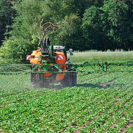 Pesticides used in agriculture contribute to biodiversity loss. Pesticides used in agriculture contribute to biodiversity loss.