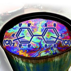 1		Poylchlorierte Biphenyle wurden Ölen zugegeben, um ihre physikalischen Eigenschaften zu beeinflussen. Die allgemeine chemische Formel für PCB lautete C12H10-nCln, wobei n die Anzahl der Chloratome (1 bis 10) angibt.
