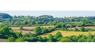 Die Knick-Hügel-Landschaft in Schleswig-Holstein wird digitalisiert. Der ländliche Raum birgt viele Potenziale zur Umsetzung digitaler Angebote (Lars Gieger - stock.adobe.com)