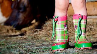 Nutztierkontakt fördert die Stressresilienz beim Menschen. Hilfe bekommen sie dabei von den „old friends“ unter den Mikroben, insbesondere von „altbekannten“ Umweltbakterien  (gemeinfrei)