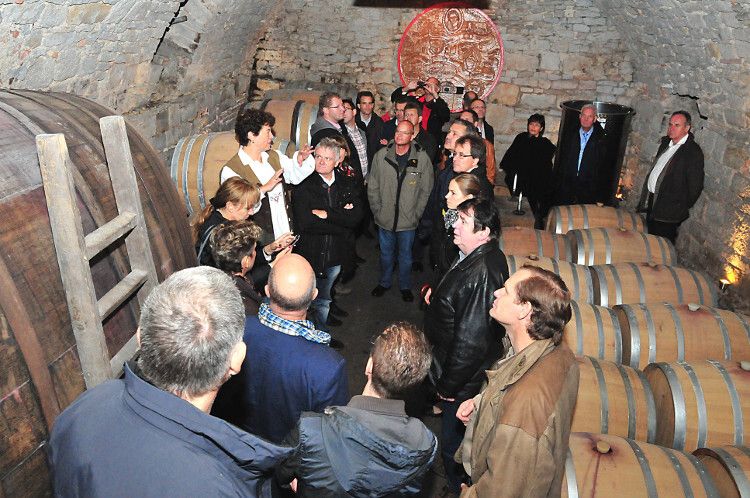 Außerdem gab es eine Kellerführung und eine Weinprobe im Weingut Trockene Schmitts in Randersacker. (Foto: Schmidt)