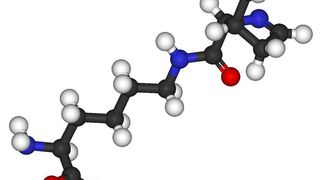 Vor zehn Jahren wurde eine zweiundzwanzigste Aminosäure entdeckt, das Pyrrolysin.  (Bild: wikimedia.org)