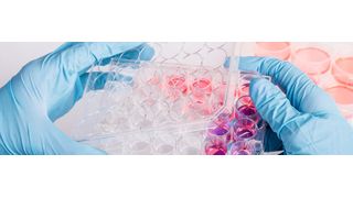 Abb. 1 Die Life-Sciences-Branche ist sehr ressourcenintensiv... (Bild: ©sola_sola - stock.adobe.com)