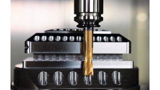 0106016797 (Bild: Walter)