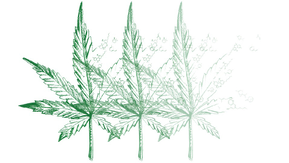 Webinar Playout: Shimadzu Deutschland GmbH (Shimadzu Deutschland GmbH)