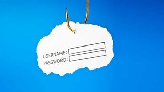 Unter Phishing wird Identitätsdiebstahl über gefälschte Webseiten, E-Mails oder Kurznachrichten verstanden. (Ivelin Radkov - stock.adobe.com)