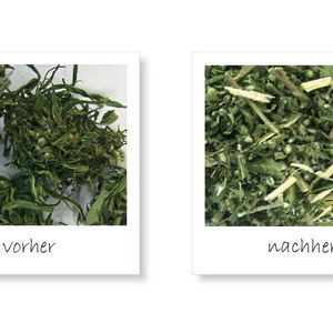 Abb. 2: Hanfprobe vor (li.) und nach der Zerkleinerung in einer SM 400 XL (re.)