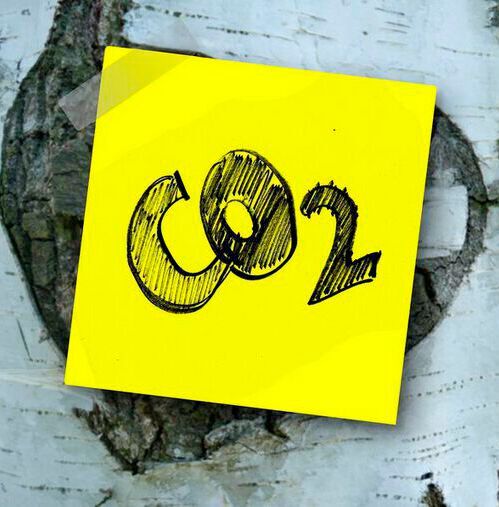 Rocks contain an enormous store of carbon in the ancient remains of plants and animals that lived millions of years ago. Rocks contain an enormous store of carbon in the ancient remains of plants and animals that lived millions of years ago.