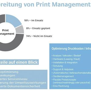 Bis dato nutzen nur sehr wenige MPS, obwohl sich der Aufwand und die Investitionen dafür in Grenzen halten (Kasten rechts). Nicht wiederlegbare Vorteile (Kasten links) resultieren im besten Fall in einer Kostensenkung um bis zu 30 Prozent.