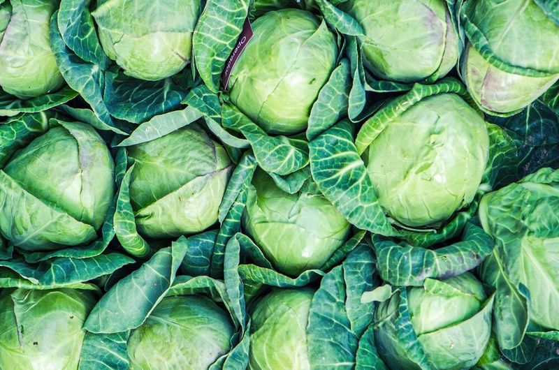  Kohlköpfe – 2,1&nbsp;% 2,1% der Kohlköpfe wiesen in Tests erhöhte Pestizidwerte auf. Ein stieg um 1% im Vergleich zu 2019 (1,1%).   (Bild: frei lizenziert)