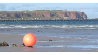 Helgoland ist Deutschlands einzige echte Hochseeinsel, bekannt eher für Seevögel, Robben und zollfreies Einkaufen als für Viren. Genau die standen jedoch im Fokus der MPI-Forschenden.  (Bild: © Max-Planck-Institut für Marine Mikrobiologie, Naomi Esken)