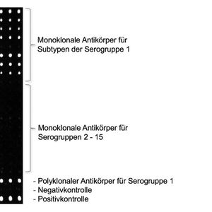 (Bild: Catharina Kober / TUM)