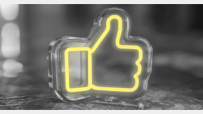 VCG Webkonferenz Social Media 11/2024 (Vogel Communications Group)