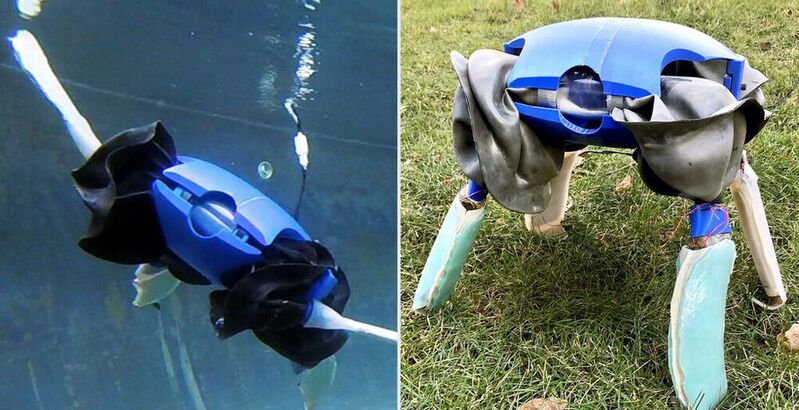 Der Amphibious Robotic Turtle wurde von Wissenschaftlern an der Yale University entwickelt. Inspiriert wurden sie von der Schildkröte aus dem Tierreich. Die Gliedmaßen des Roboters können sich in Form, Steifigkeit und Verhalten an die Umgebung anpassen.(Bild:  Yale University)
