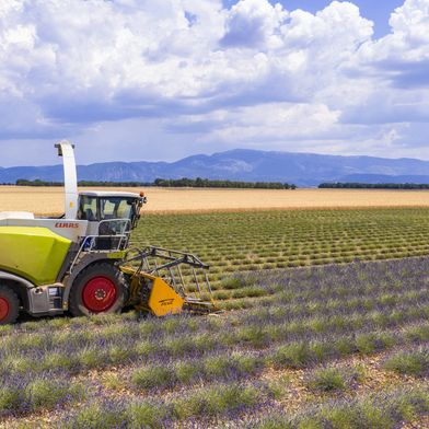 Innovation auf dem Feld und in der Fabrik: Claas nutzt moderne IoT-Strukturen, um die Produktion seiner Landmaschinen weltweit zu vernetzen und effizienter zu gestalten.

 (Bild: © iStock Sjo (2026))