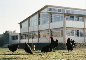 Hühner_72 dpi.jpg ()