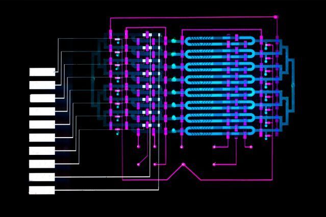 An MIT-invented microfluidics device could help doctors diagnose sepsis, a leading cause of death in U.S. hospitals, by automatically detecting elevated levels of a sepsis biomarker in about 25 minutes, using less than a finger prick of blood. (Felice Frankel)