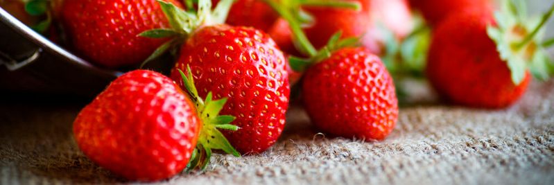 Süße Noten und gesunde Inhaltsstoffe machen die Erdbeere weltweit zu einer der beliebtesten Beerenfrüchte. (Bild:  Peredniankina - stock.adobe.com)